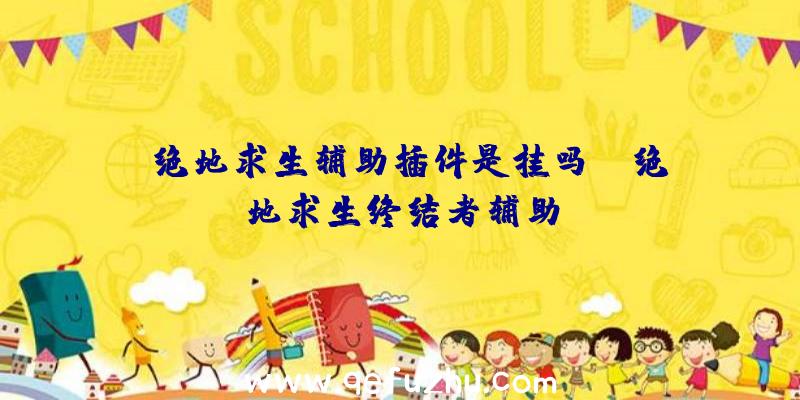 「绝地求生辅助插件是挂吗」|绝地求生终结者辅助